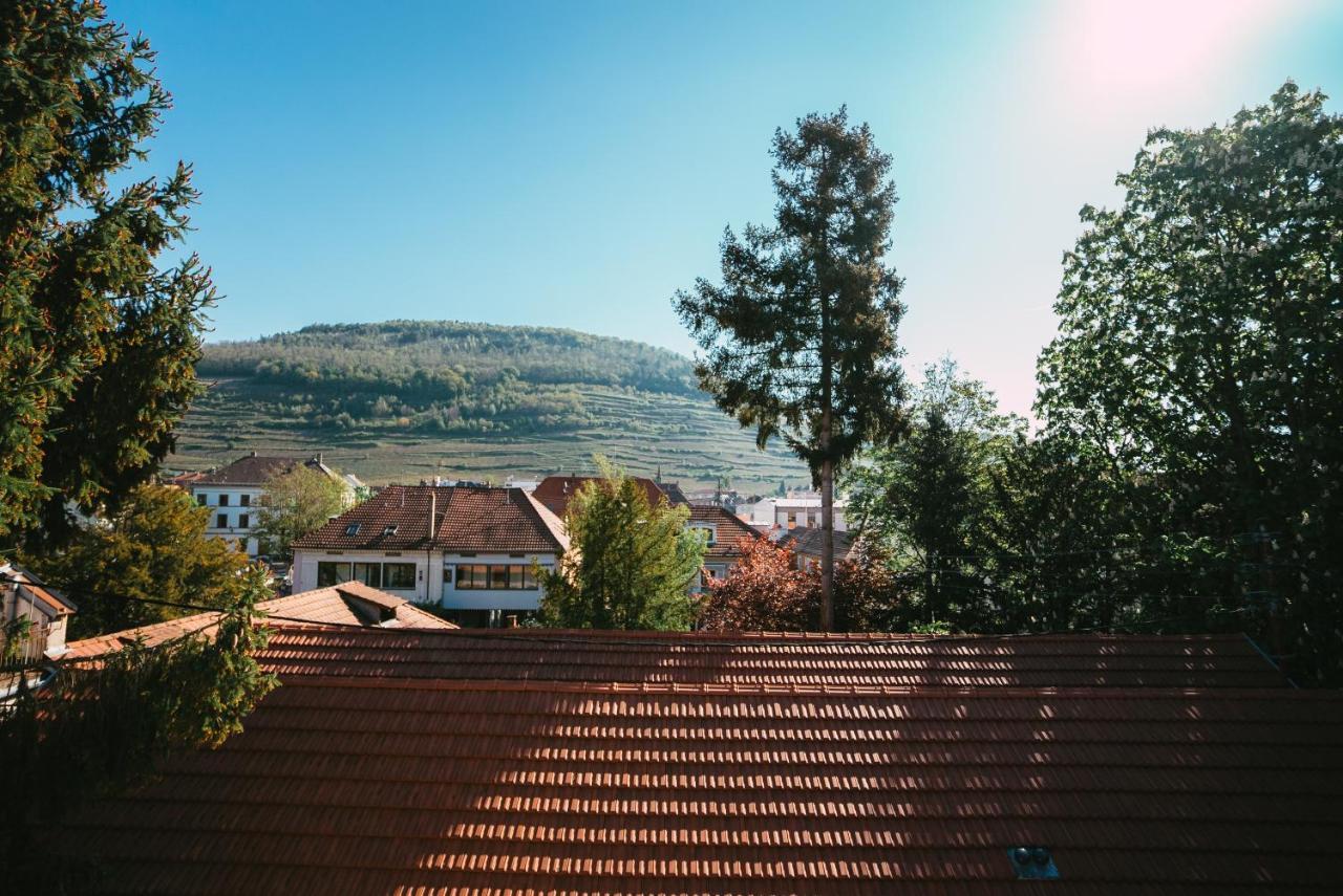 Апартаменти Domaine Boheme I Art De Vivre Ґебвіллер Екстер'єр фото